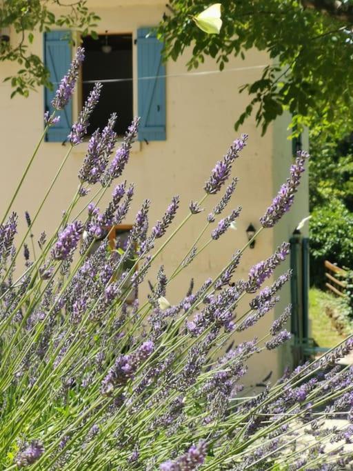The Walnut Tree. Apartamento Saint-Aulaye-Puymangou Exterior foto
